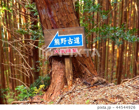 大辺路街道の標識　 44544926