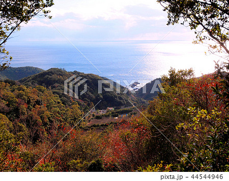 大辺路街道から眺める紀州の海 44544946