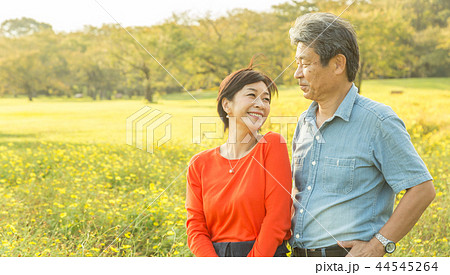 仲の良い夫婦 秋の散歩道 黄色コスモス  シニア夫婦 44545264