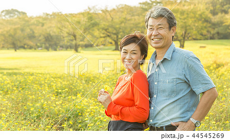 仲の良い夫婦 秋の散歩道 黄色コスモス  シニア夫婦 44545269