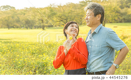 仲の良い夫婦 秋の散歩道 黄色コスモス  シニア夫婦 44545276