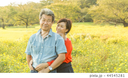 仲の良い夫婦 秋の散歩道 黄色コスモス  シニア夫婦 44545281
