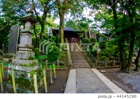 Kitain Temple at Kawagoe, Japan, Sep 2018 Kitain Temple at Kawagoe, Japan, Sep 2018 44545290