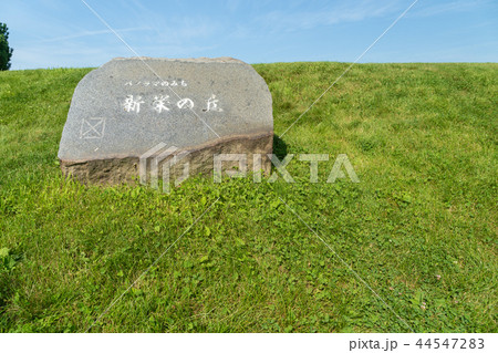 新栄の丘 芝生 新栄の丘 芝生 44547283