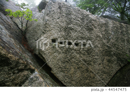 慶北 韓国 旅行 44547475