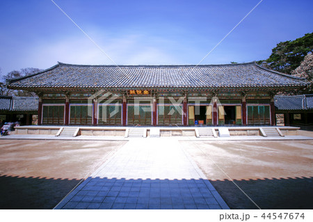 慶北 韓国 旅行 44547674