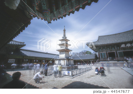 慶北 韓国 旅行 44547677