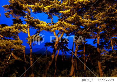 慶北 韓国 旅行 44547774