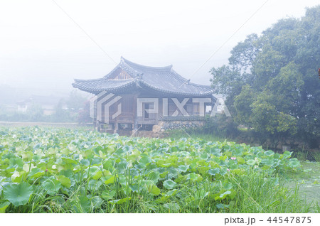 慶北 韓国 旅行 44547875