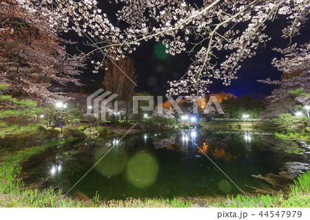 慶北 韓国 旅行 44547979