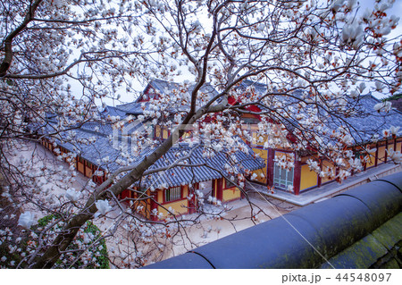 慶北 韓国 旅行 44548097