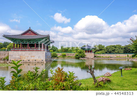 慶北 韓国 旅行 44548313