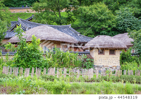 慶北 韓国 旅行 44548319