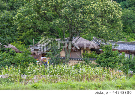 慶北 韓国 旅行 44548380