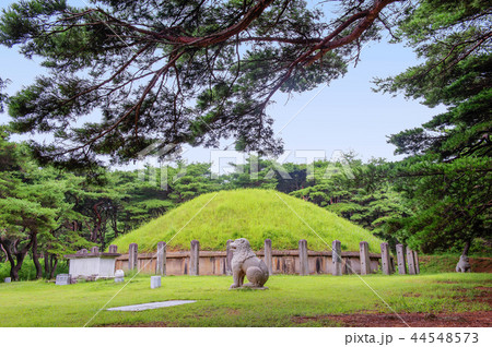 慶北 韓国 旅行 44548573