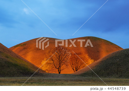 慶北 韓国 旅行 44548739