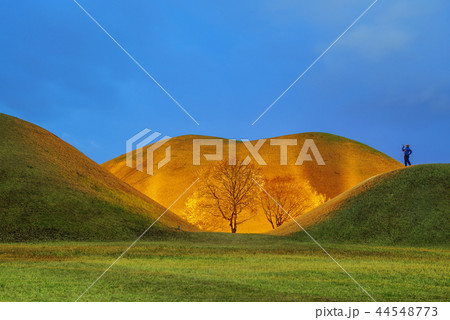 韓国 世界文化遺産 王陵 44548773