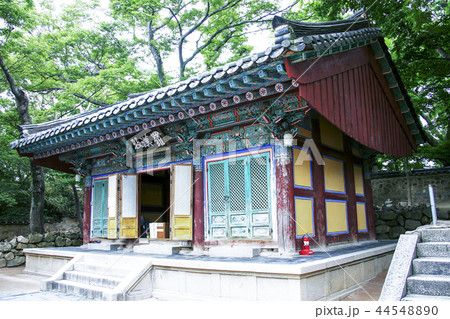 慶北 韓国 旅行 44548890