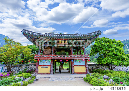 慶北 韓国 旅行 44548936