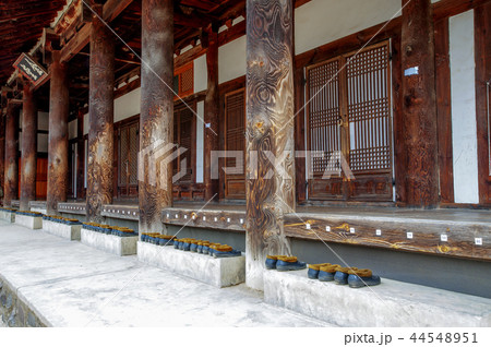 慶北 韓国 旅行 44548951