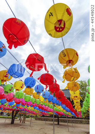 慶北 韓国 旅行 44549022