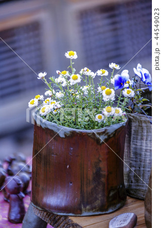 全羅南道 韓国 旅行 44549023