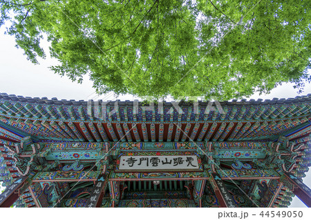 慶北 韓国 旅行 44549050