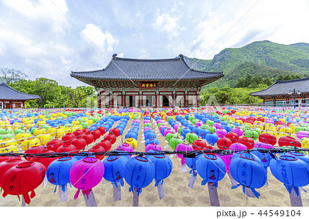 慶北 韓国 旅行 44549104