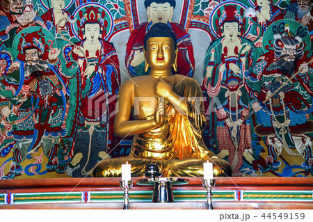 慶北 韓国 旅行 44549159