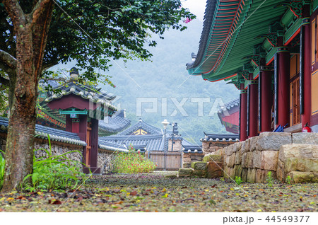 全羅南道 韓国 旅行 44549377
