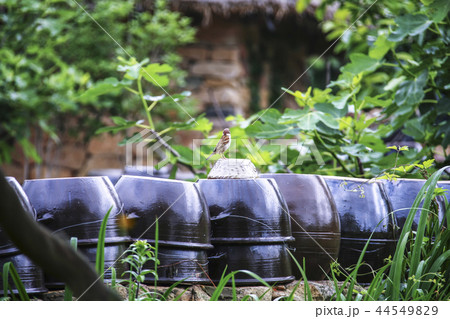 韓国 楽安邑城 甕 44549829