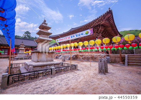 全羅南道 韓国 旅行 44550359