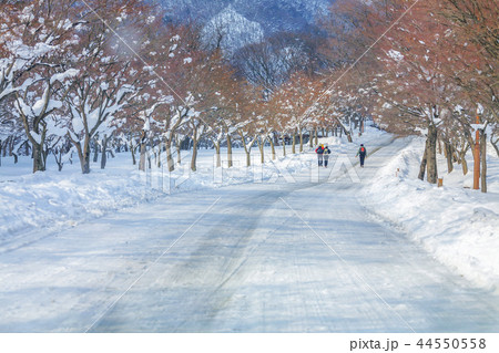 慶北 韓国 旅行 44550558