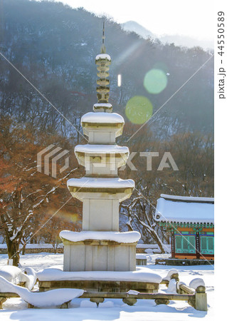 慶北 韓国 旅行 44550589