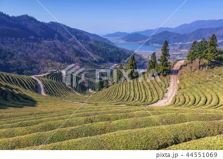 韓国 旅行 スポット 44551069