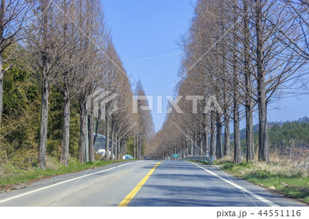 慶南 旅行 スポット 44551116