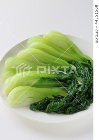 茹で青梗菜 茹で青梗菜 44551509