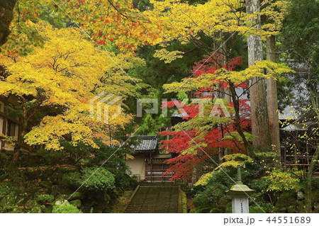 禅の寺 雨上がりの永平寺 禅の寺 雨上がりの永平寺 44551689