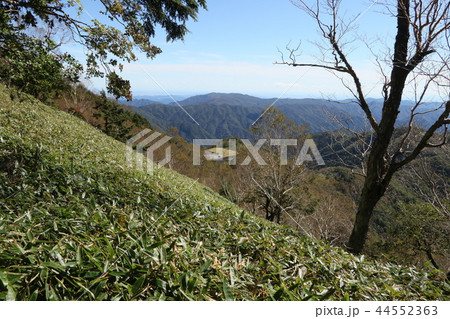 半月峠から半月山展望台への登山道から半月山駐車場方面を見る 半月峠から半月山展望台への登山道から半月山駐車場方面を見る 44552363