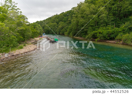 早朝の千歳川 44552526