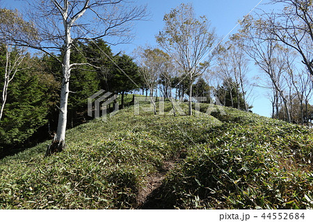 日光　半月峠から半月山展望台へ向かう登山道 44552684