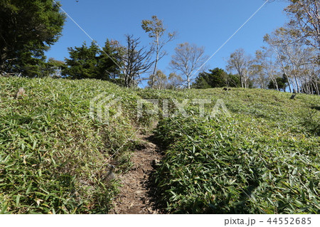 日光　半月峠から半月山展望台へ向かう登山道 44552685