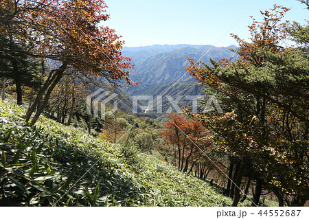 日光　半月峠から半月山展望台へ向かう登山道から足尾方面を見る 44552687