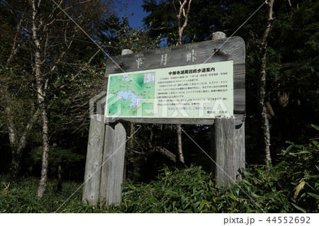 日光　半月峠から半月山展望台へ向かう登山道の半月峠 44552692