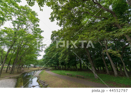 サーモンパーク千歳 44552797