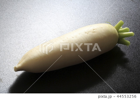 大根 大根 44553256