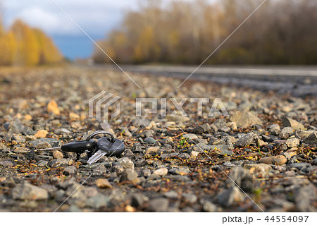 A bunch of keys lying on the side of the road 44554097
