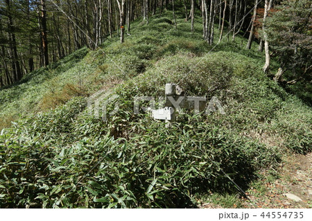 日光 中禅寺湖から半月峠へ登る登山道のうち半月峠で、社山方面の登山道 日光 中禅寺湖から半月峠へ登る登山道のうち半月峠で、社山方面の登山道 44554735
