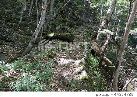 日光　中禅寺湖から半月峠へ登る登山道　昔に栄えた石垣のある登山道 44554739