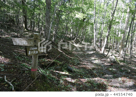 日光　中禅寺湖畔、狸窪にある半月峠への登山口 44554740